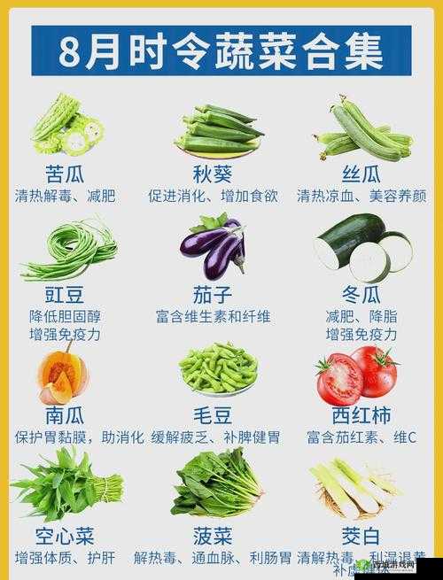 丝瓜秋葵草莓香蕉榴莲绿大全：探索这些健康水果与蔬菜的独特魅力与营养搭配