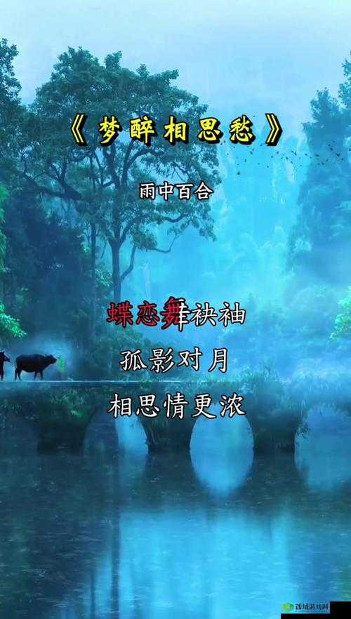 男女在一起愁愁愁的视频素材究竟哪里找？快来这里获取答案