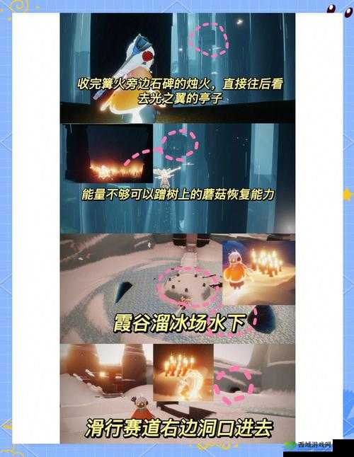 光遇花树祝福怎么用？这篇攻略让你瞬间成为烛火大神！🔥